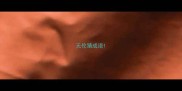无伦猜成语