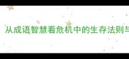 临危勇进从成语智慧看危机中的生存法则与成长启示