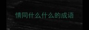 情同什么什么的成语