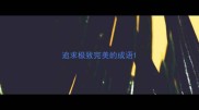 追求极致完美的成语