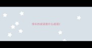 很长的成语是什么成语