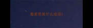 着意思是什么成语