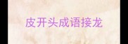 皮开头成语接龙