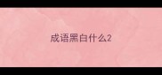 成语黑白什么