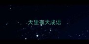 天里有天成语