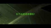 关于出成语有哪些