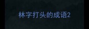 林字打头的成语
