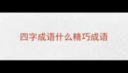 四字成语什么精巧成语