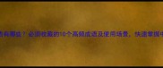 带言字的成语有哪些必须收藏的10个高频成语及使用场景快速掌握中文表达技巧