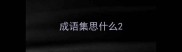 成语集思什么