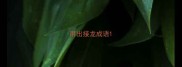 用出接龙成语