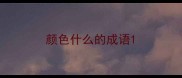 颜色什么的成语