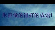形容做的很好的成语
