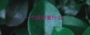 一个成语重什么