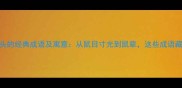 10个以鼠开头的经典成语及寓意从鼠目寸光到鼠辈这些成语藏着千年智慧