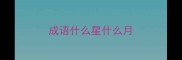 成语什么星什么月