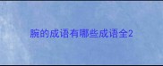 腕的成语有哪些成语全