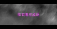 阵有哪些成语