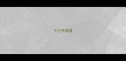 十三字成语
