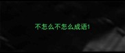 不怎么不怎么成语