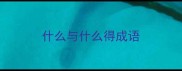 什么与什么得成语