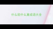 什么轻什么重成语大全