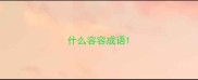 什么容容成语