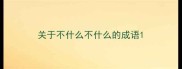 关于不什么不什么的成语