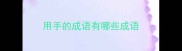 用手的成语有哪些成语