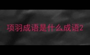 项羽成语是什么成语