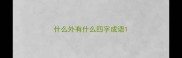 什么外有什么四字成语