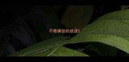 不敢懈怠的成语