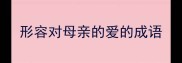 形容对母亲的爱的成语