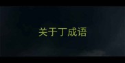 关于丁成语