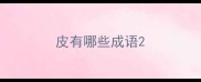 皮有哪些成语