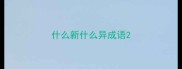 什么新什么异成语