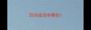 四词成语有哪些