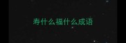 寿什么福什么成语