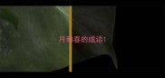 月和春的成语