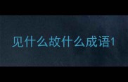 见什么故什么成语