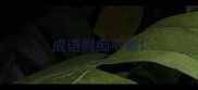 成语假痴不癫