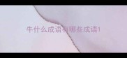 牛什么成语有哪些成语