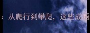 带爬字的100个成语全从爬行到攀爬这些成语藏着多少人生智慧