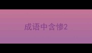 成语中含惨