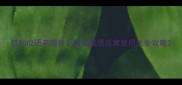 狐的成语有哪些常见成语及寓意用法全攻略