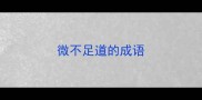 微不足道的成语