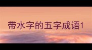 带水字的五字成语
