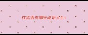 荏成语有哪些成语大全