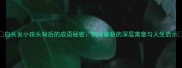 白头发小孩头背后的成语秘密鹤发童颜的深层寓意与人生启示