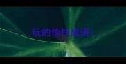 玩的愉快成语